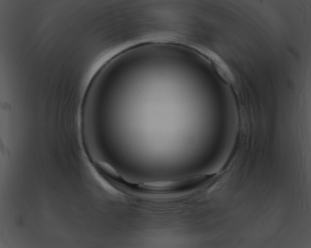 X0000090971343200708021429