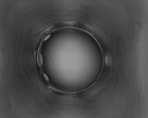 X0000090971347200708021428