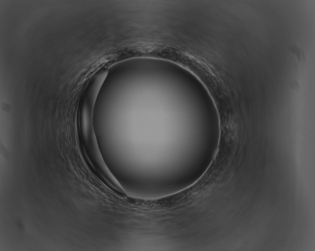 X0000090971349200708021428