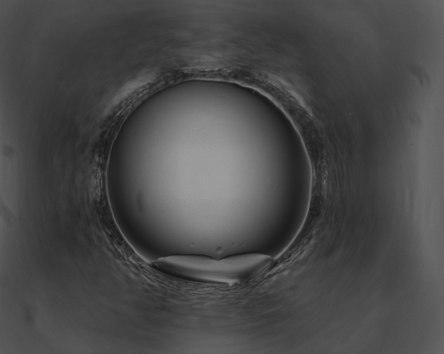 X0000090971350200708021428