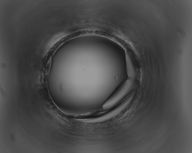 X0000090971352200708021428