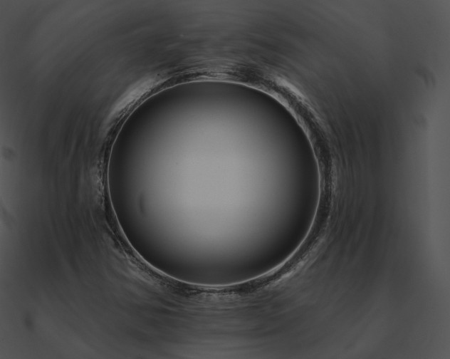 X0000090971354200708021428