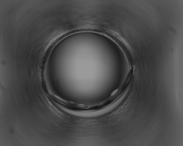 X0000090971356200708021428