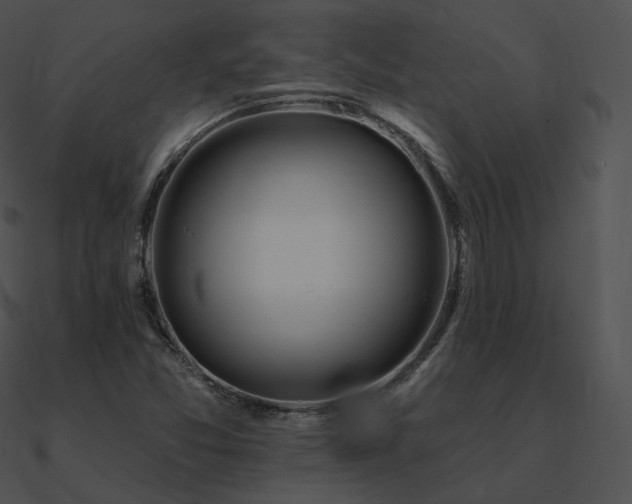 X0000090971357200708021428