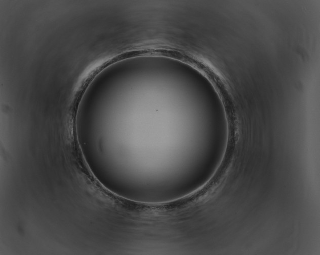 X0000090971358200708021428