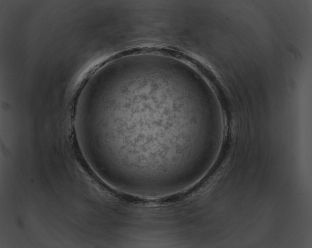 X0000090971359200708021428