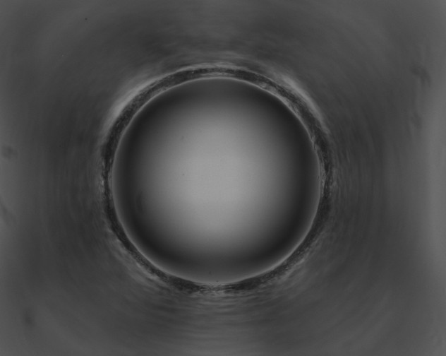 X0000090971360200708021428