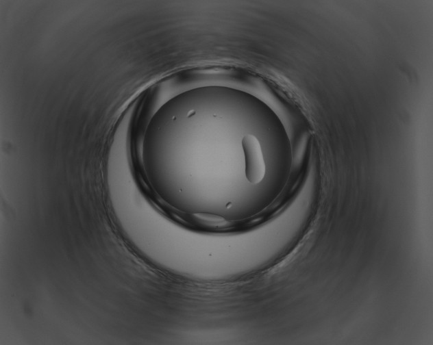 X0000090971361200708021428