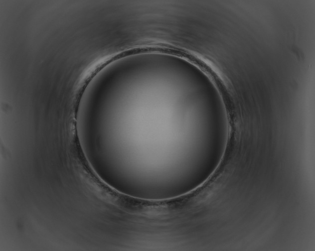 X0000090971363200708021428