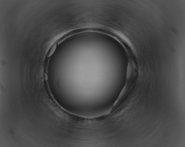 X0000090971364200708021428