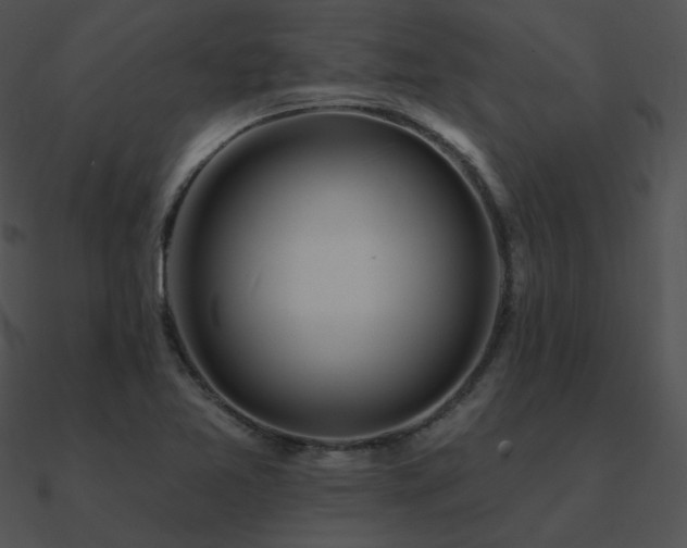 X0000090971365200708021428