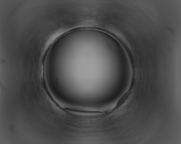 X0000090971366200708021428