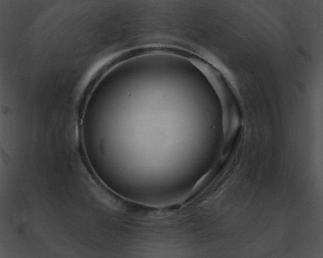 X0000090971368200708021428