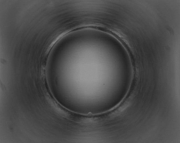 X0000090971369200708021428