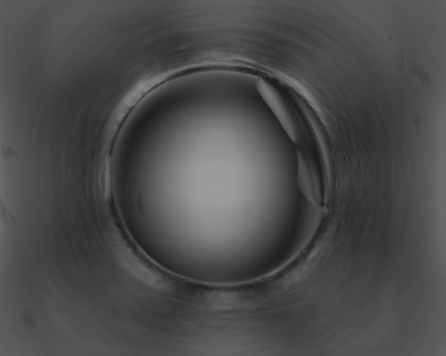 X0000090971371200708021428