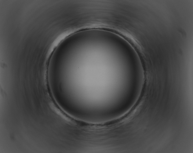 X0000090971374200708021428