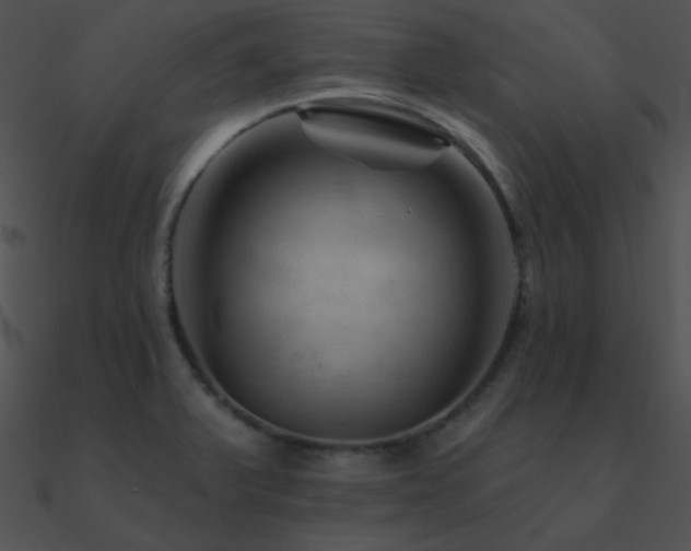 X0000090971375200708021428