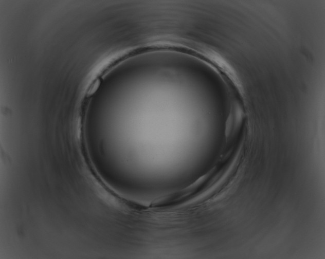 X0000090971376200708021428