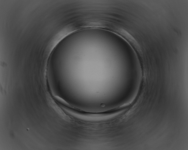 X0000090971378200708021428