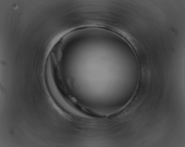 X0000090971379200708021428