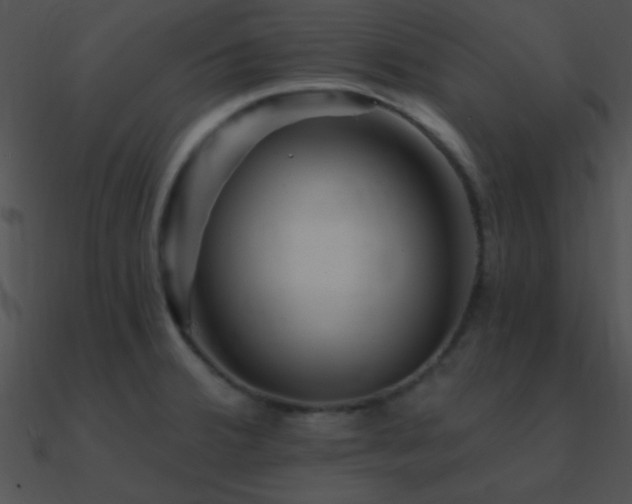 X0000090971380200708021428