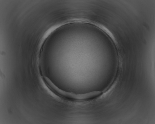 X0000090971381200708021428