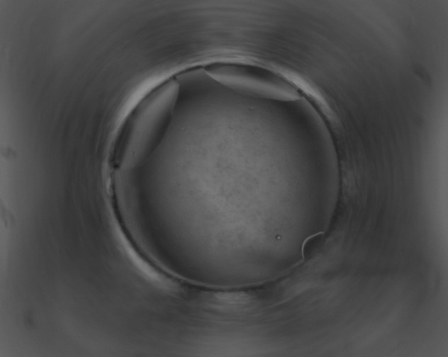 X0000090971383200708021428