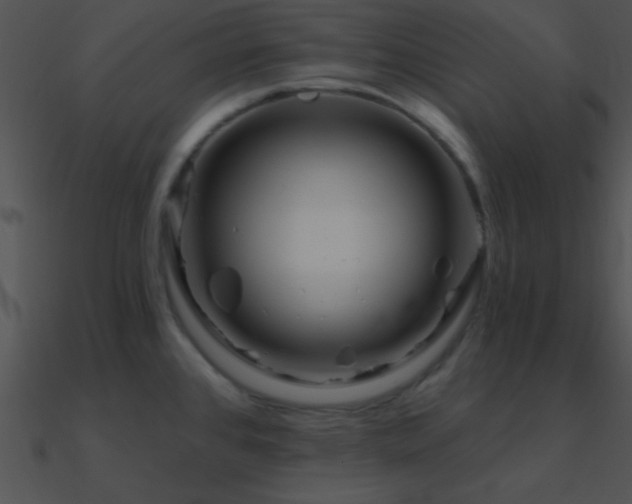 X0000090971384200708021428