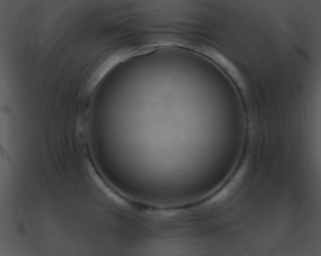 X0000090971385200708021428