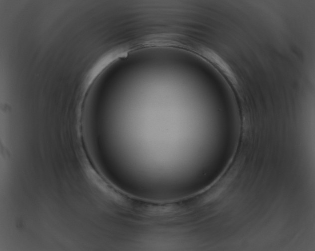 X0000090971386200708021428