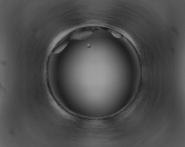 X0000090971387200708021428