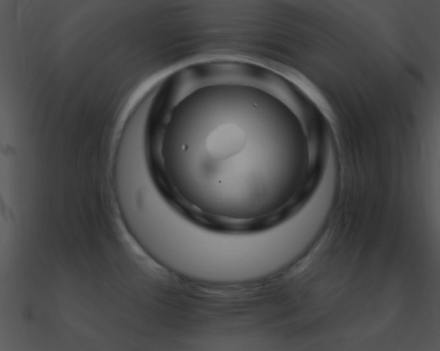 X0000090971388200708021428