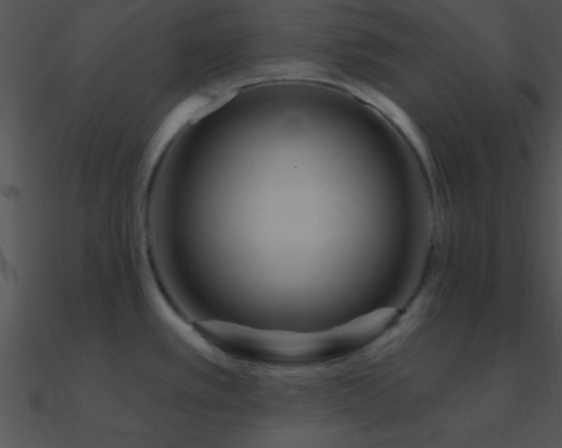 X0000090971389200708021428