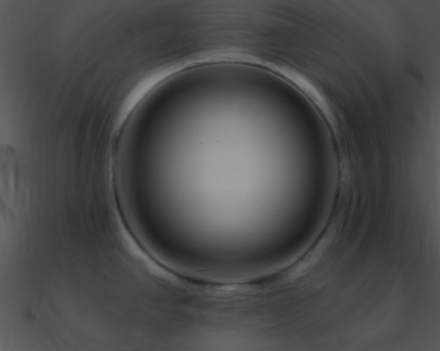 X0000090971390200708021428