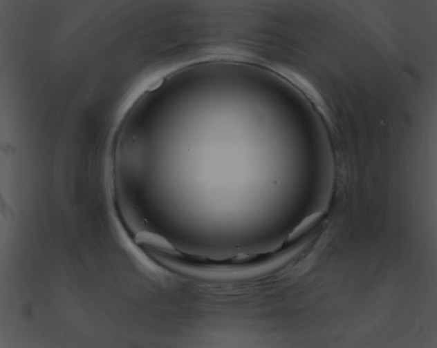 X0000090971391200708021428