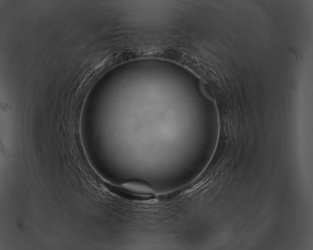 X0000090971393200708021427