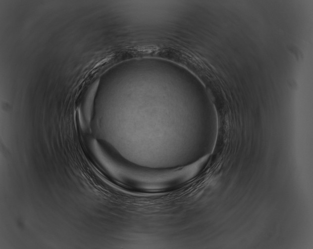 X0000090971394200708021427