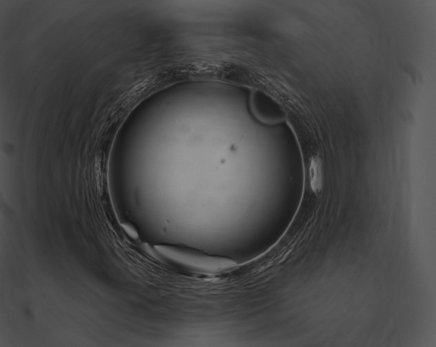 X0000090971395200708021427