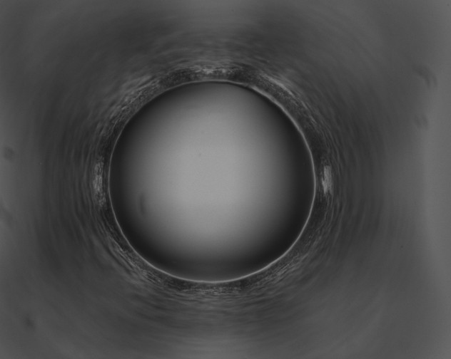 X0000090971396200708021427