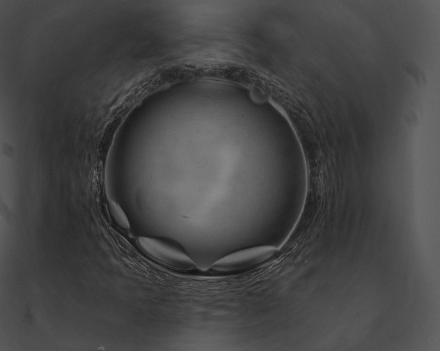 X0000090971397200708021427