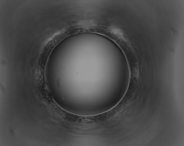 X0000090971398200708021427