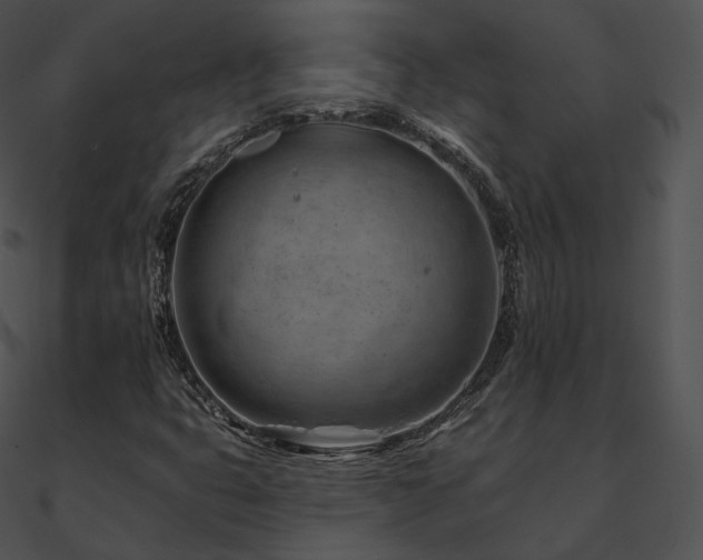 X0000090971399200708021427