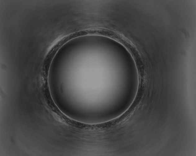 X0000090971400200708021427