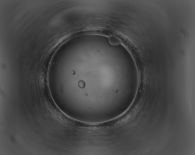 X0000090971401200708021427