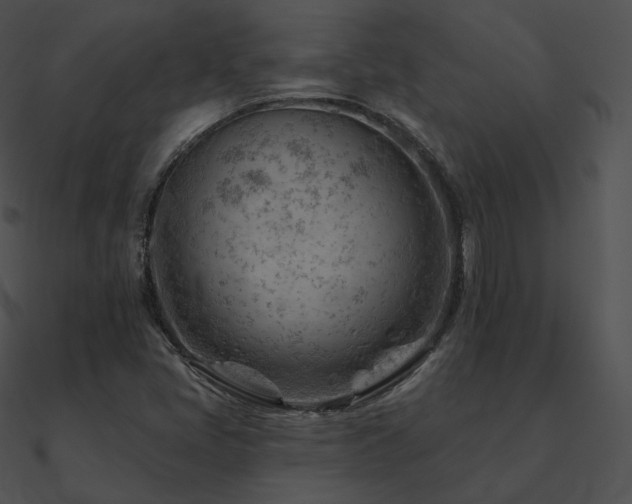 X0000090971405200708021427