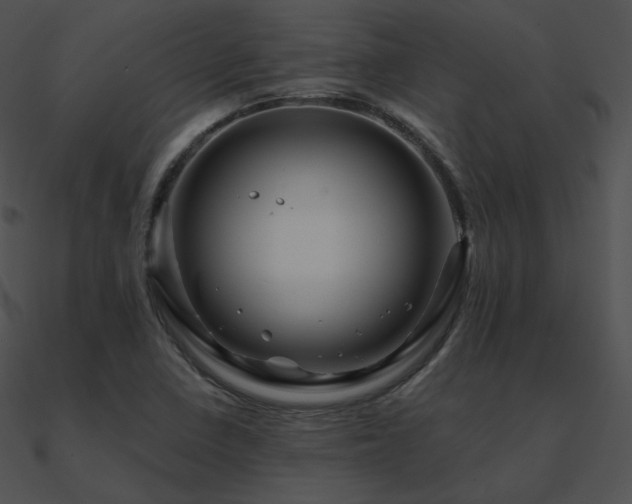 X0000090971410200708021427