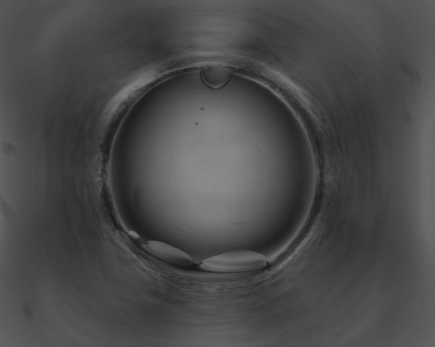 X0000090971411200708021427