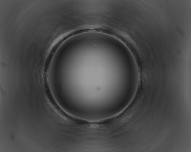 X0000090971412200708021427