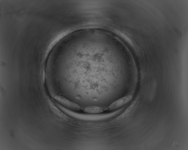 X0000090971413200708021427