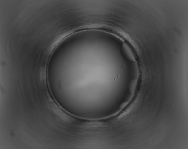 X0000090971417200708021427